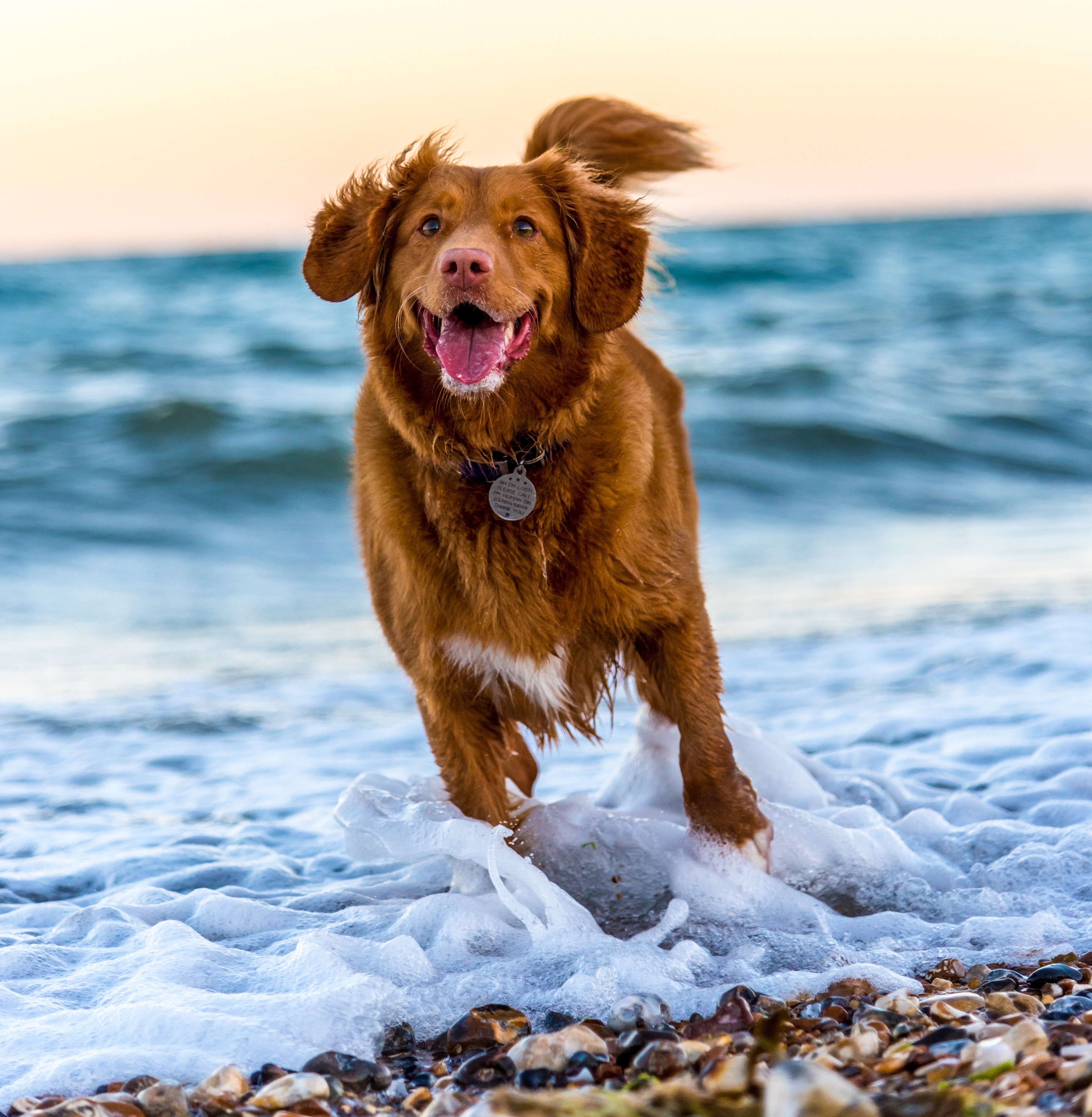 oscar-sutton-719939-unsplash